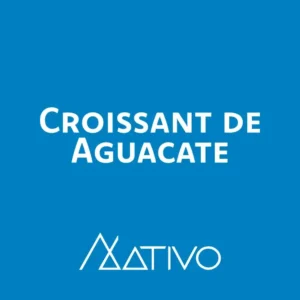 Aguacate